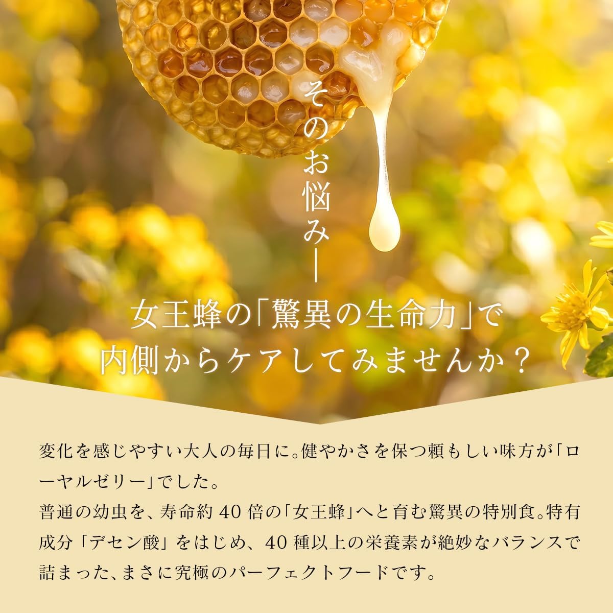 MANTENYA - Special Powder: Royal Jelly Powder, 1.1 oz (30 g) - Made with Rapeseed Honey Source Ingredients (Powder, Additive-free, Natural Supplement, Essential Amino Acids, Vitamin B, Beauty, Health)
