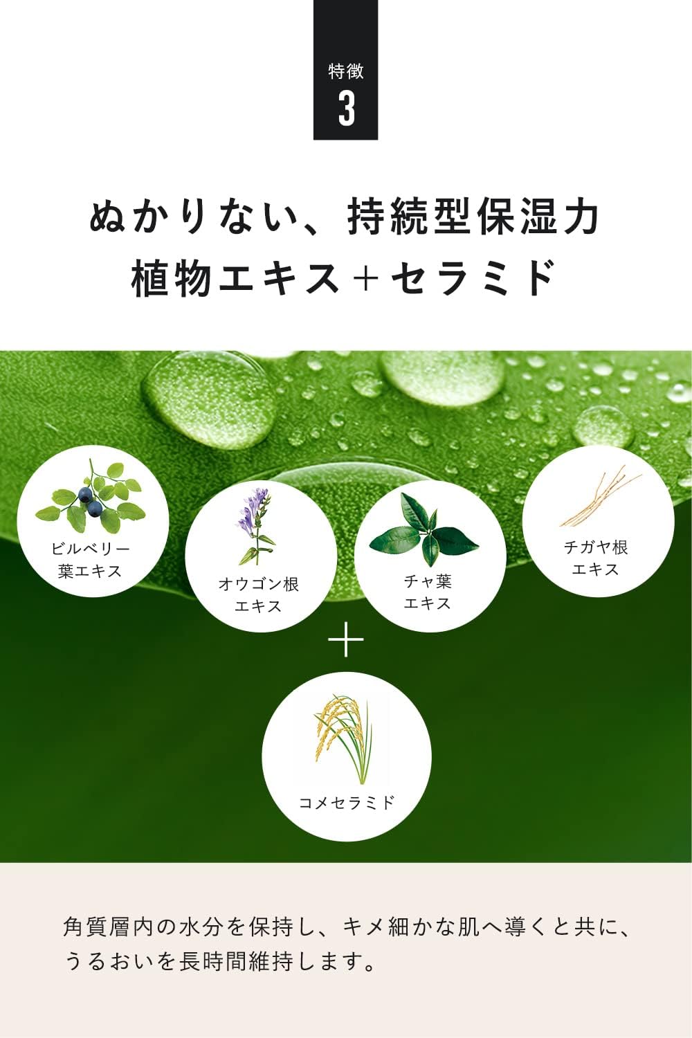 クワトロボタニコ エイジングケア クリーム メンズ ボタニカル パワーリフト ＆ ディープモイスト 男性化粧品 保湿 乳液 オールインワン 乾燥肌 フェイスクリーム スキンケア メンズコスメ 50g