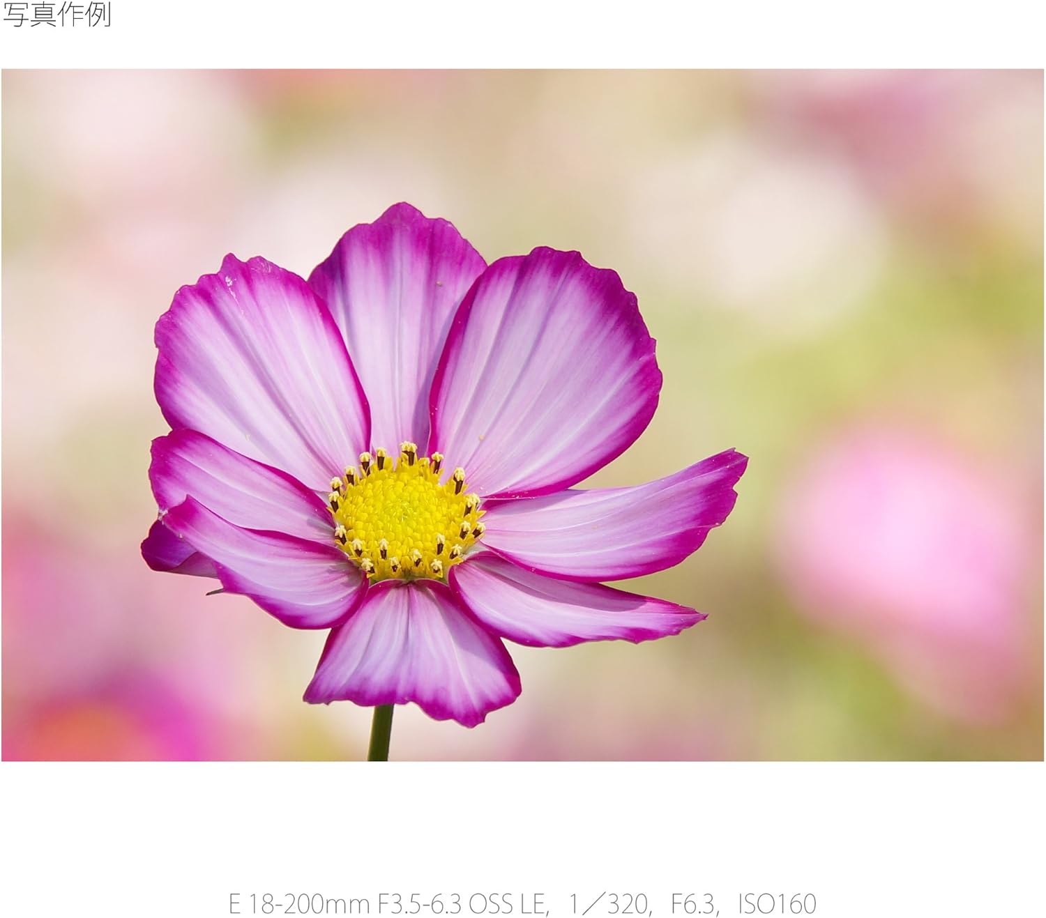 Sony SEL18200LE Camera Lense
