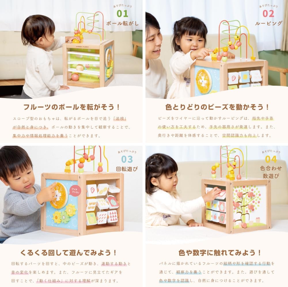 【Woody Puddy Direct Store Exclusive】Playful Fruit Activity Box (Limited Edition with Watermelon Ball)