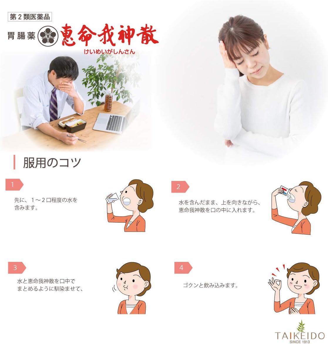 【第2類医薬品】恵命我神散 100g×4包入