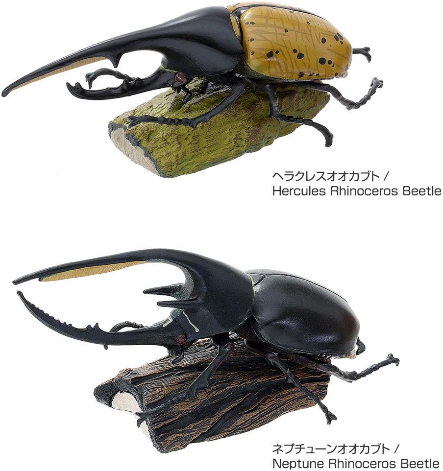 カロラータ 立体図鑑 カブトムシ フィギュア (6種 / 解説書付き) リアル おもちゃ (知育玩具) 誕生日 ギフト プレゼント (食品衛生法クリア) ライナセラスビートル/リアルフィギュアボックス 模型/クリスマス クリスマスプレゼント
