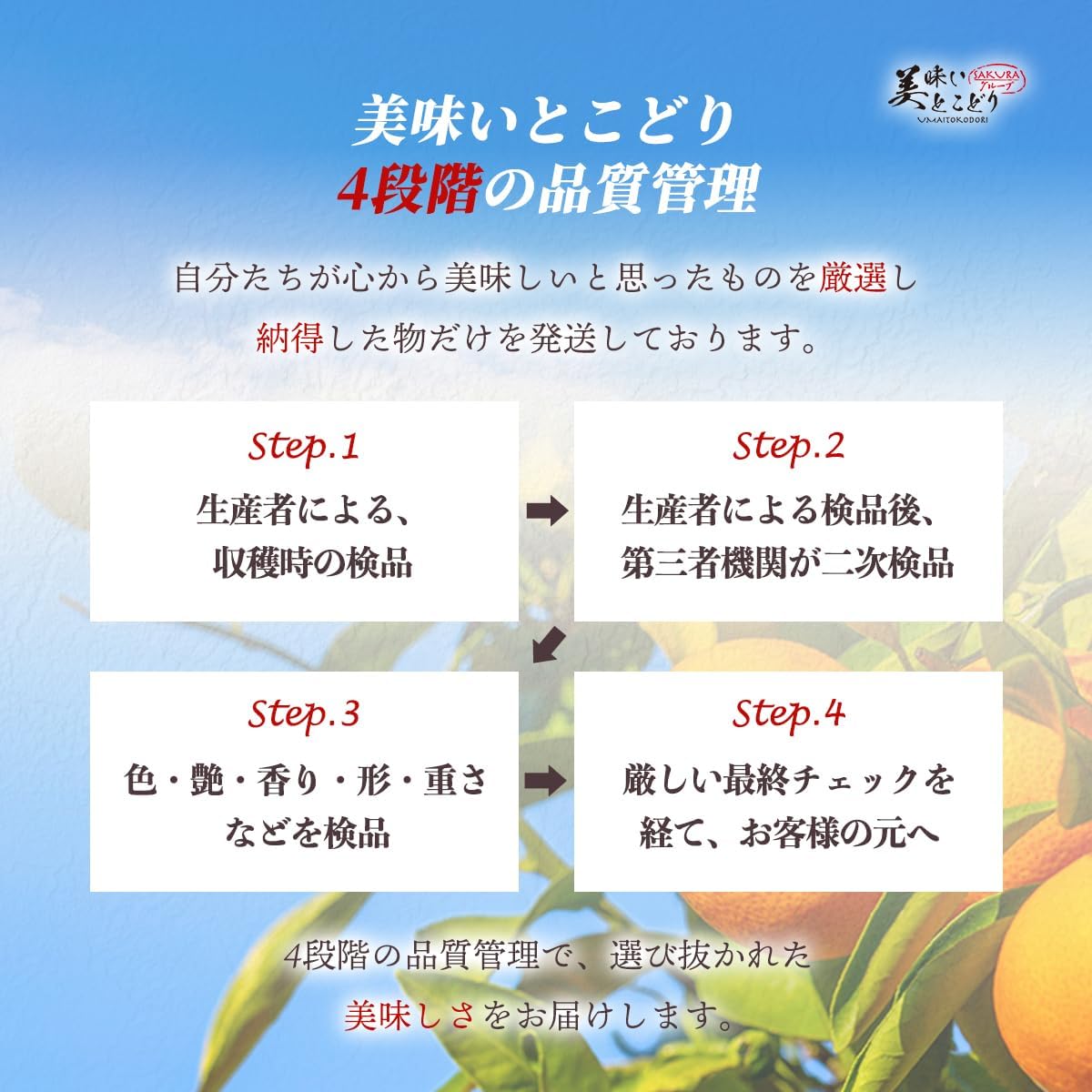 Delicious Tokodori, Made in Yamanashi Prefecture, Luxury Gift, Shine Muscat, High Sugar Average Exceeds 68°F (20°C) (36 Capsules), Supervised by Fruit Meister, Compatible with Irons