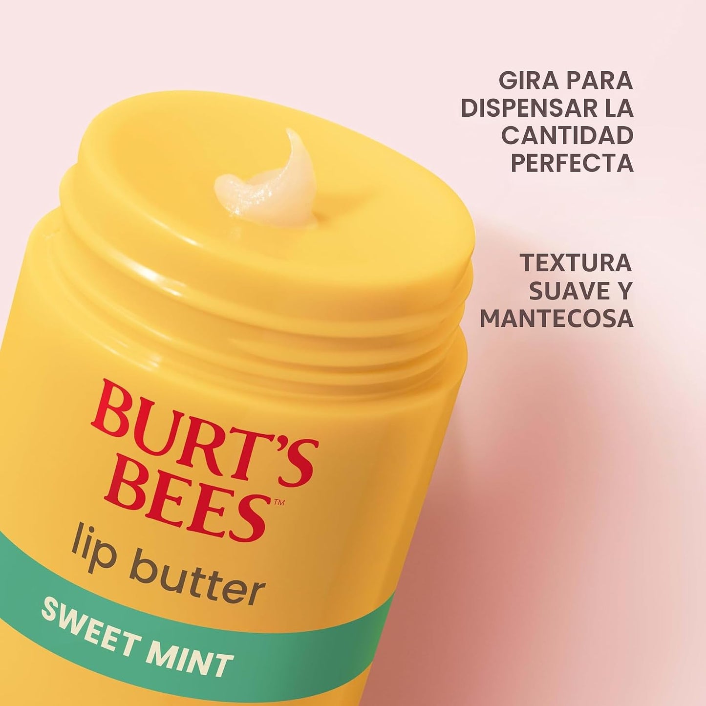 Burt's Bees Mantequilla labial de menta dulce, repara los labios secos, hidratación 24 horas, bloquea la humedad, incluye mantecas de karité y mango, vitamina E rica en antioxidantes, conveniente dispensador de torsión, 0.5 onzas.