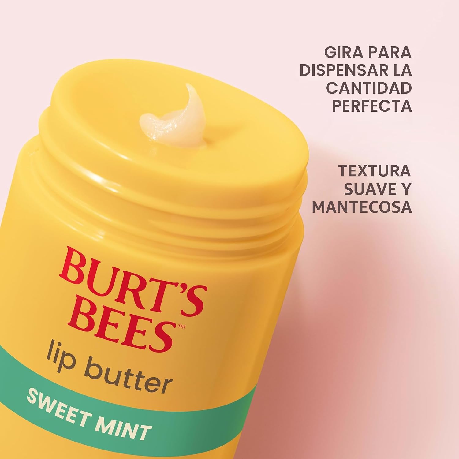 Burt's Bees Mantequilla labial de menta dulce, repara los labios secos, hidratación 24 horas, bloquea la humedad, incluye mantecas de karité y mango, vitamina E rica en antioxidantes, conveniente dispensador de torsión, 0.5 onzas.
