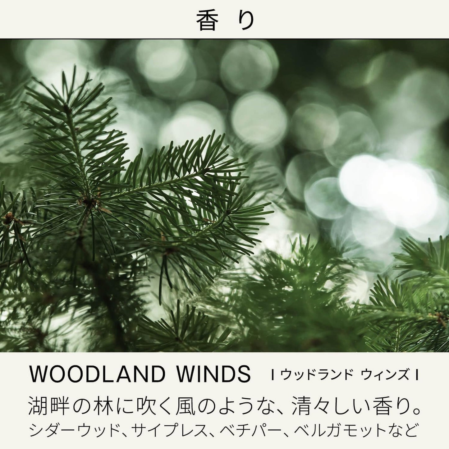 BAUM Moisturizing Oil n Oil, Forest Bath, Fresh Natural Cypress Fragrance, Modern Fragrance, Main Unit, 2.3 fl oz (60 ml) Gift, Birthday Present