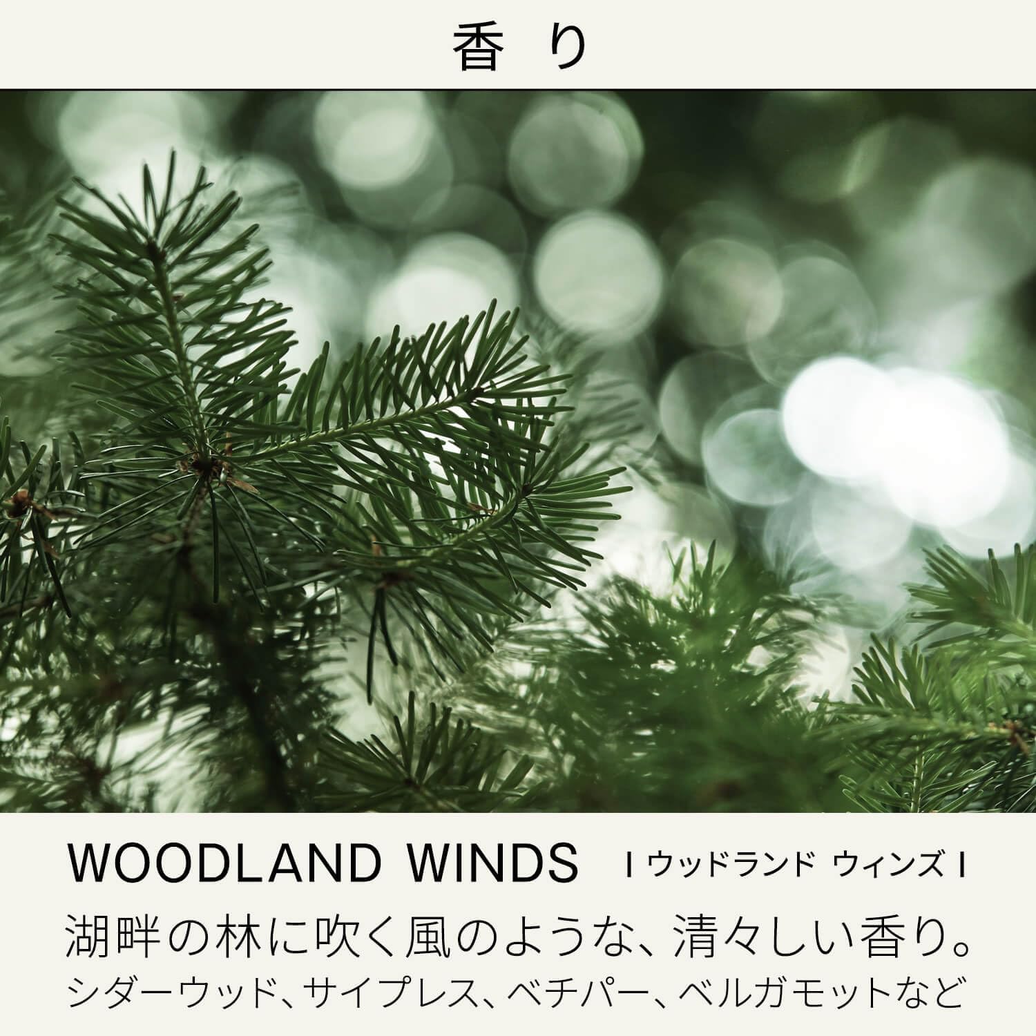 BAUM Moisturizing Oil n Oil, Forest Bath, Fresh Natural Cypress Fragrance, Modern Fragrance, Main Unit, 2.3 fl oz (60 ml) Gift, Birthday Present