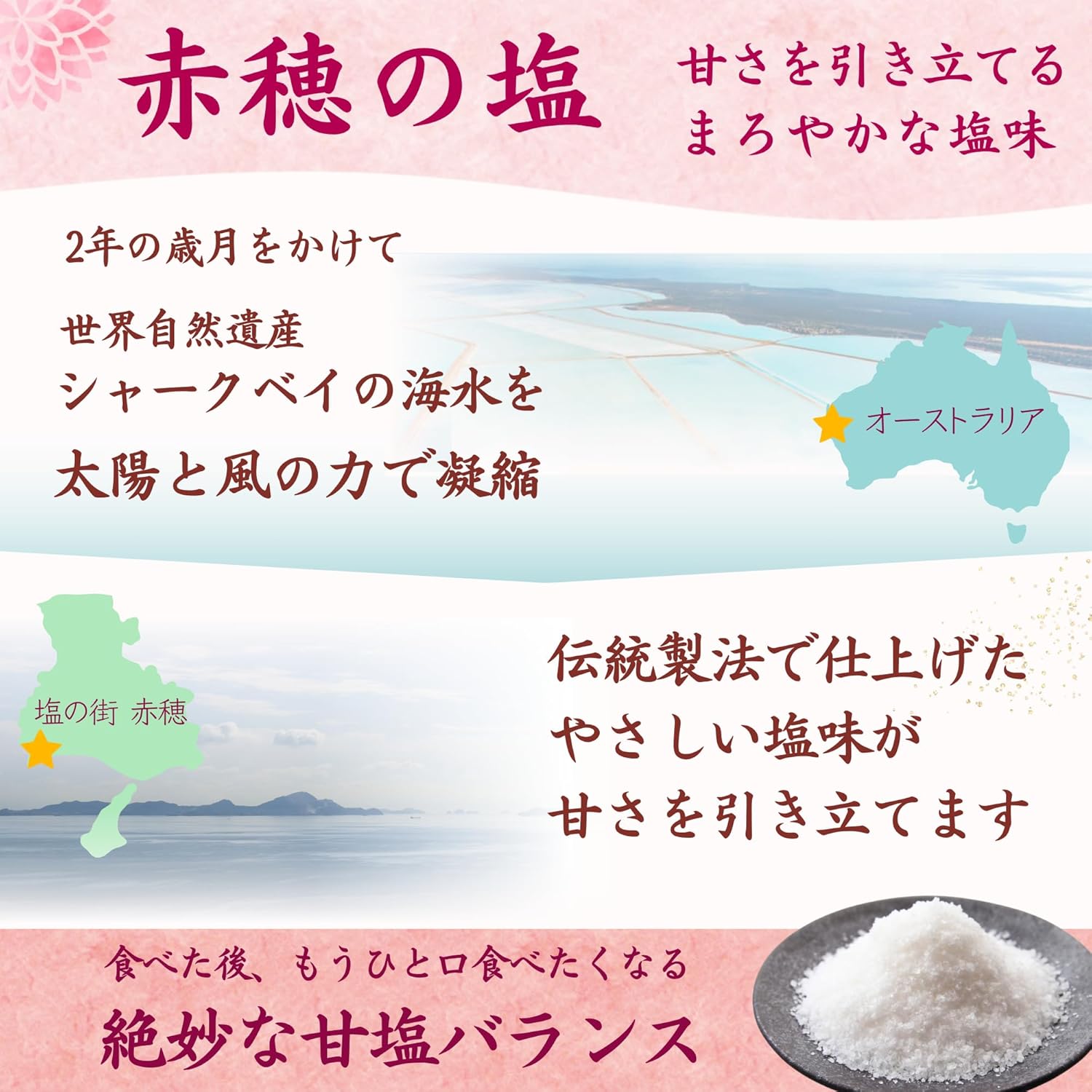 Wellsweet Salted Yōkan Hokkaido Small Red Beans 100% × Cane Sugar Stick Individually Wrapped Mini Yōkan 20g×10 Sticks