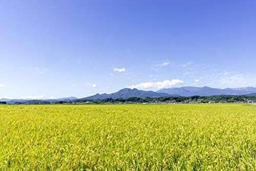 by Miyagi-grown Tsuyahime Unwashed Rice, 11 lbs (5 kg), Reiwa 7 Crop
