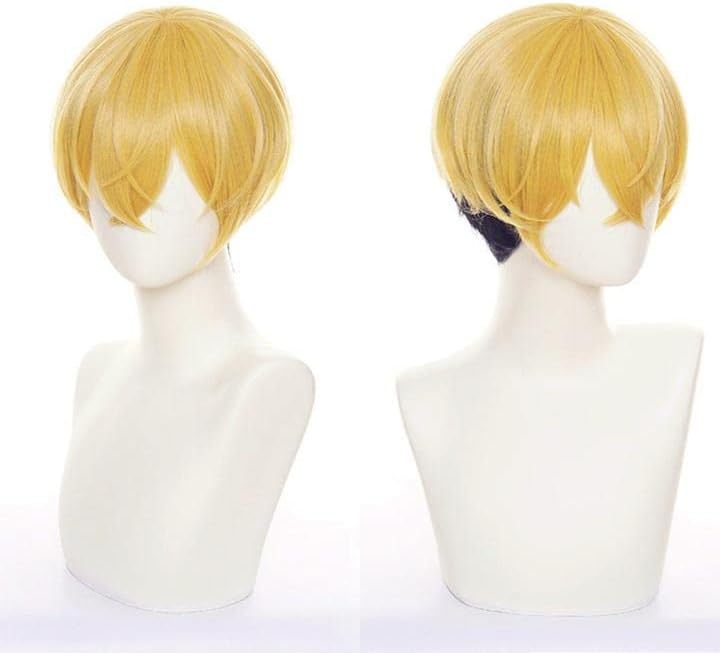 LVMEY Tokyo Revengers Cosplay Wig, Chifuyu Matsuno, Heat Resistant, Disguise Wig, Cosplay Wig, Wig Cosplay Costume, Comic Event, Halloween, Christmas, Cultural Festival, School Festival, Wig Net