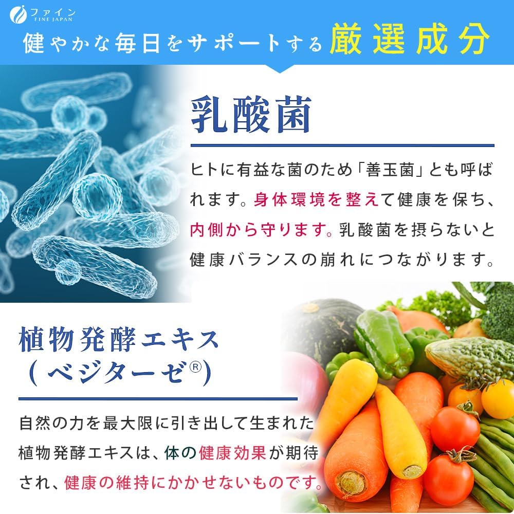 FINE JAPAN 1 Trillion Lactic Acid Bacteria Prime Lactic Acid Bacteria (Sterilized), Plant Fermented Extract Powder, Domestic Production, 30 Day Supply (1 Tablet/30 Capsules Per Day)
