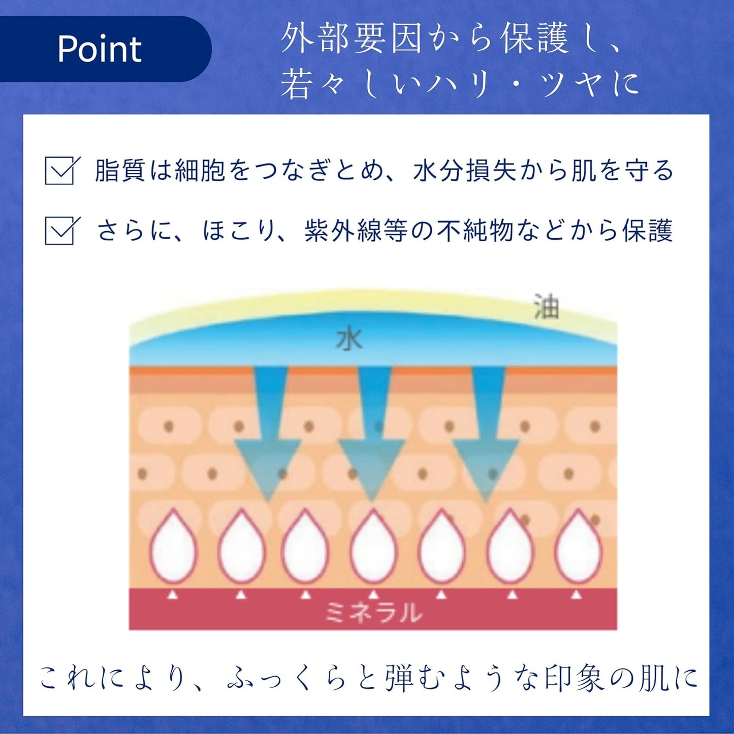 TROIAREUKE Energy Cream/Face Moisturizing, Face Cream/Peptides, Galactomyces, Niacinamide, Pine Leaf Extract, Formulation/Skin Care, Beauty (4.2 fl oz (125 ml)