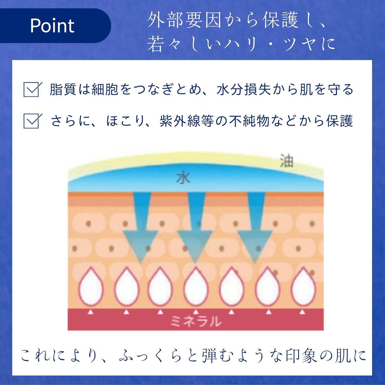 TROIAREUKE Energy Cream/Face Moisturizing, Face Cream/Peptides, Galactomyces, Niacinamide, Pine Leaf Extract, Formulation/Skin Care, Beauty (4.2 fl oz (125 ml)