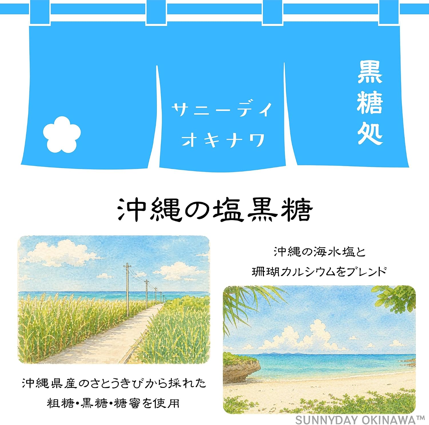 Okinawa Brown Sugar Salt, 2.8 oz (80 g), 10 Bags, Made from 100% Okinawa Prefecture, Individually Wrapped Type, Okinawa Souvenir