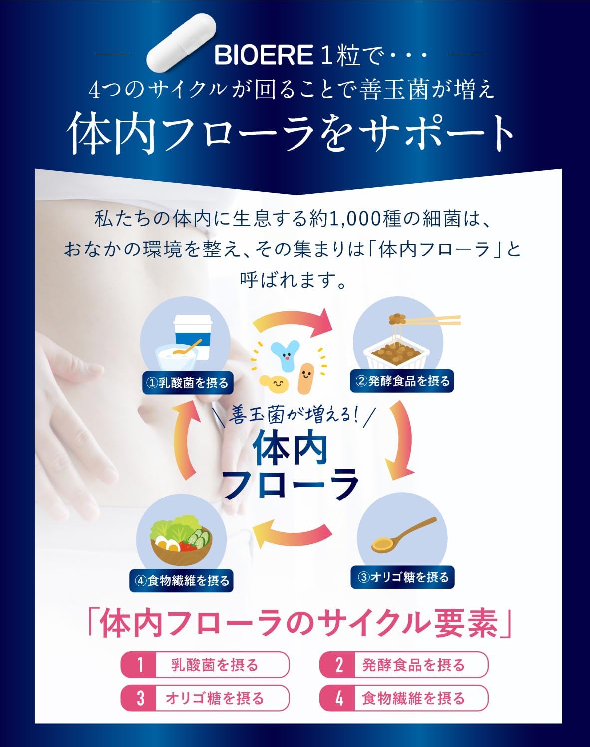 【Living Bacteria Activity Lactobacillus, Lactic Acid Bacteria, Bifidobacterium】BIOERE Lactobacillus 4.5 Trillion Units, Bifidobacterium, Lactic Acid Bacteria Supplement, 30-Day Supply, Domestically