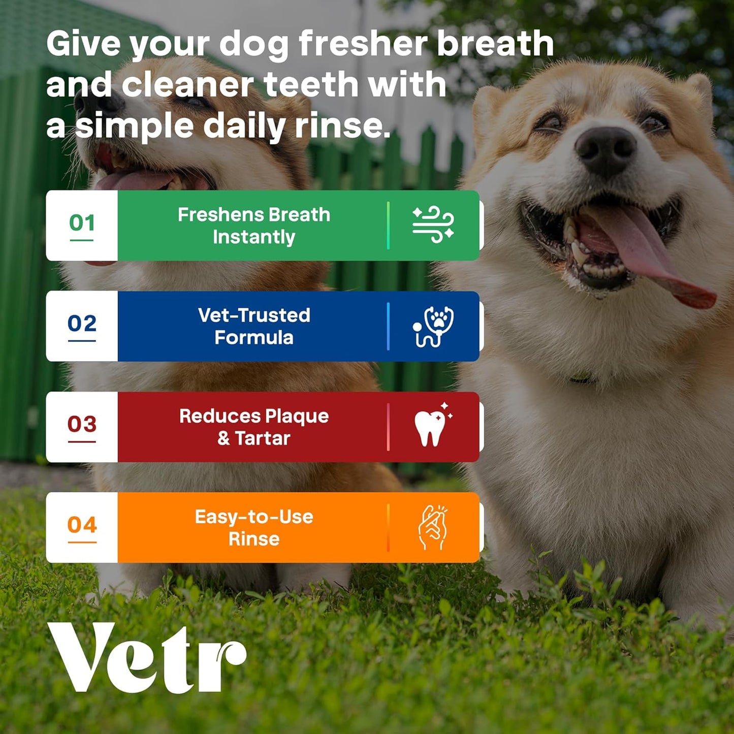 Vetr Fórmula dental para perros, aditivo líquido con sabor a menta para el cuidado bucal con enzimas para el aliento y el apoyo de los dientes, formulado por veterinarios en Estados Unidos (16 onzas)