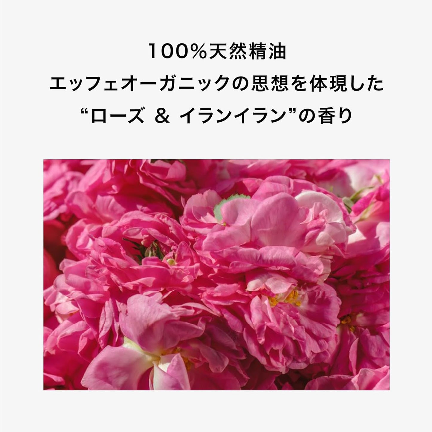 F organics Deep Moisture Milk, Refill, 3.3 fl oz (110 ml), Milk, Moisturizing, Moisturizing, COSMOS ORGANIC Certified Organic