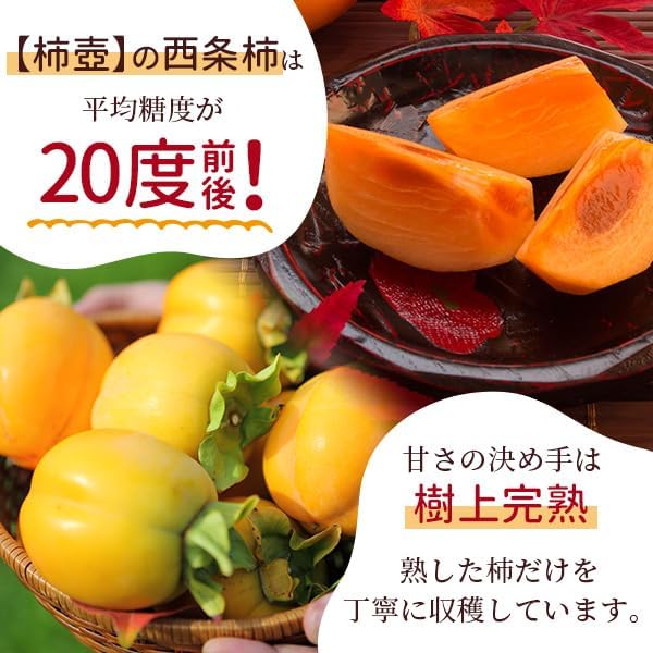 風味絶佳.山陰 Persimmon Farm "Kakitsubo" Saijo Persimmon Dried Persimmons 6 Pieces (Simple Packaging) Semi-Dry Dried Fruit No Additives Shimane Prefecture Product Persimmon Dried Persimmon Dried Persimmon