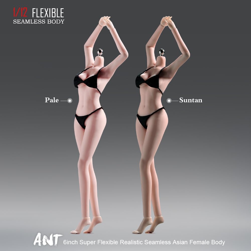 1/12 scale female body, 6.inch ultra flexible 22 joints seamless female body micro beauty three-dimensional action doll, removable foot model, suitable for hobby collection (muscle muscles)