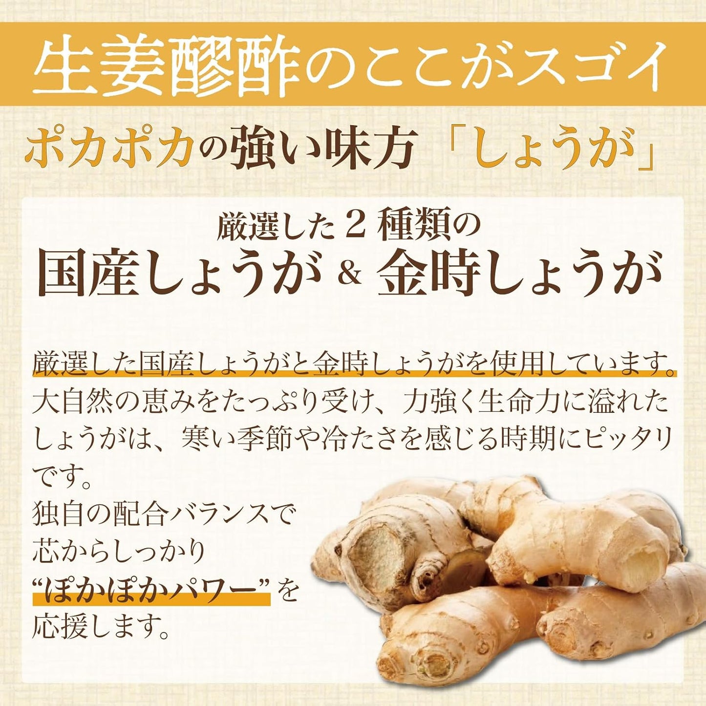 Shimanoya Ginger Vinegar (1 bag, 62 bulbs per month), Kintoki Ginger, Moromi Vinegar, Amino Acid, Citric Acid, Made in Japan