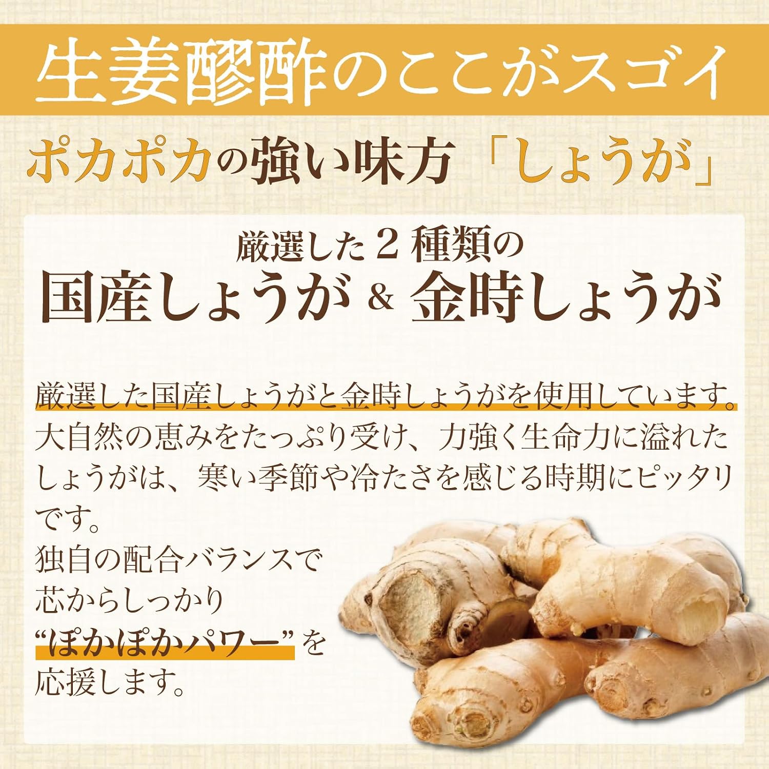 Shimanoya Ginger Vinegar (1 bag, 62 bulbs per month), Kintoki Ginger, Moromi Vinegar, Amino Acid, Citric Acid, Made in Japan