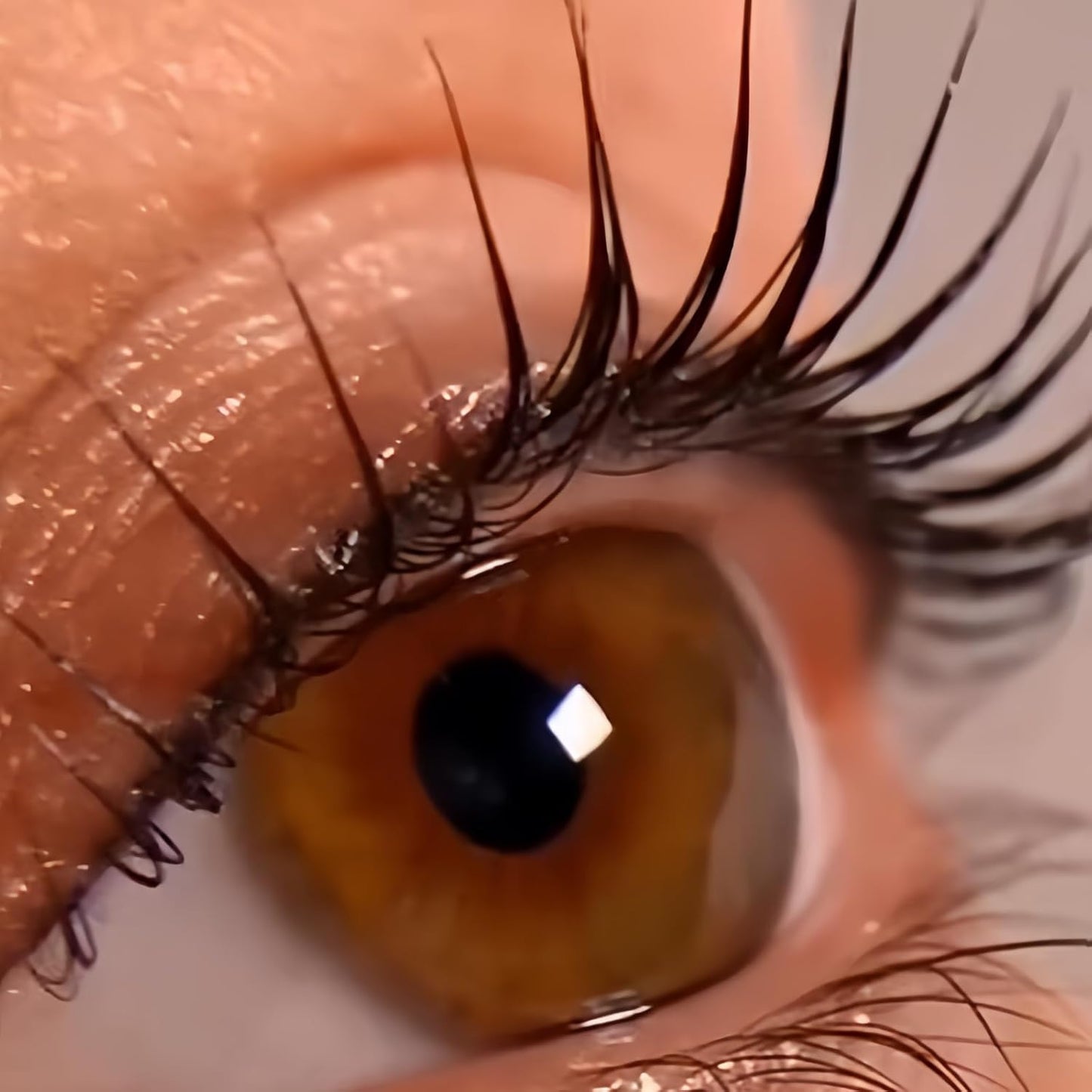 Eyelash Perm Lots Eyelash Perma Self 4 Sizes Silicone Perm Rod Eyelash Pad Self Adhesive Soft Sensitive Skin for Home Self Salon Reusable Pink