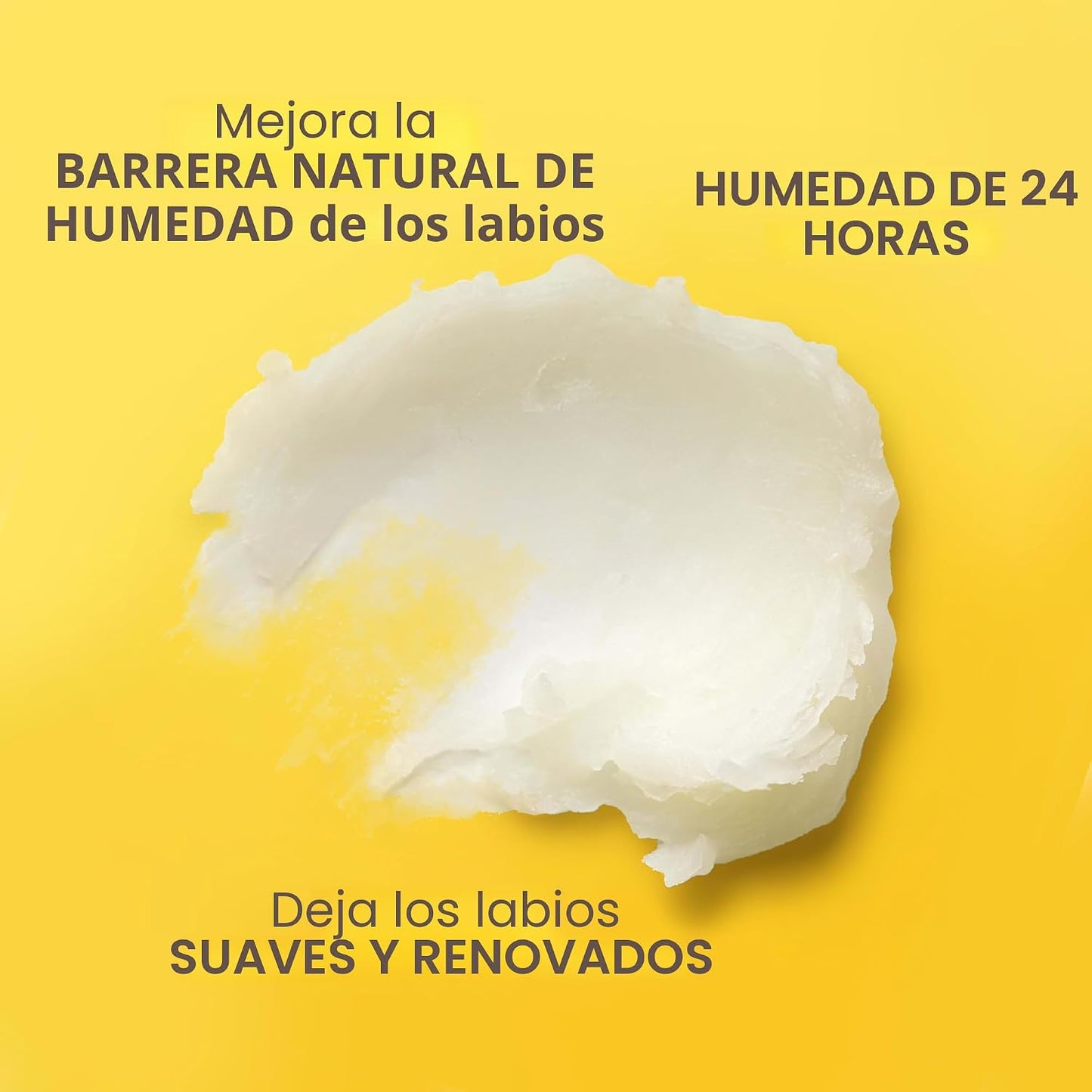 Burt's Bees - Bálsamo labial, protector labial hidratante, para hidratación durante todo el día, 100 % natural, Tropical, piña, bayas con agua fresca, fruta del dragón y coco y pera (paquete de 4)