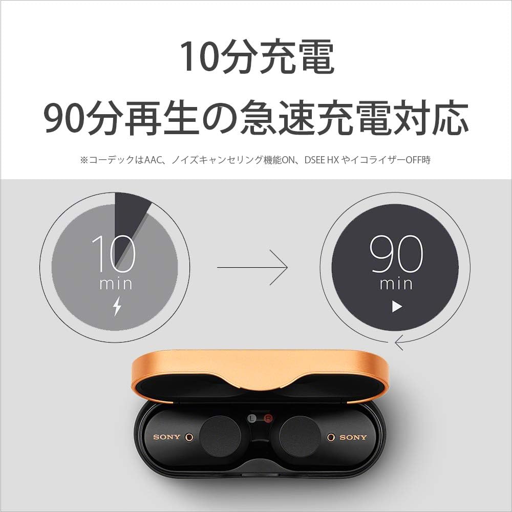 Sony WF-1000XM3 Wireless Noise Cancelling Earbuds, Fully Wireless, Alexa, Bluetooth, High Resolution Equivalent, Up to 6 Hours of Continuous Playback, 2019 Model / Microphone Included, 360