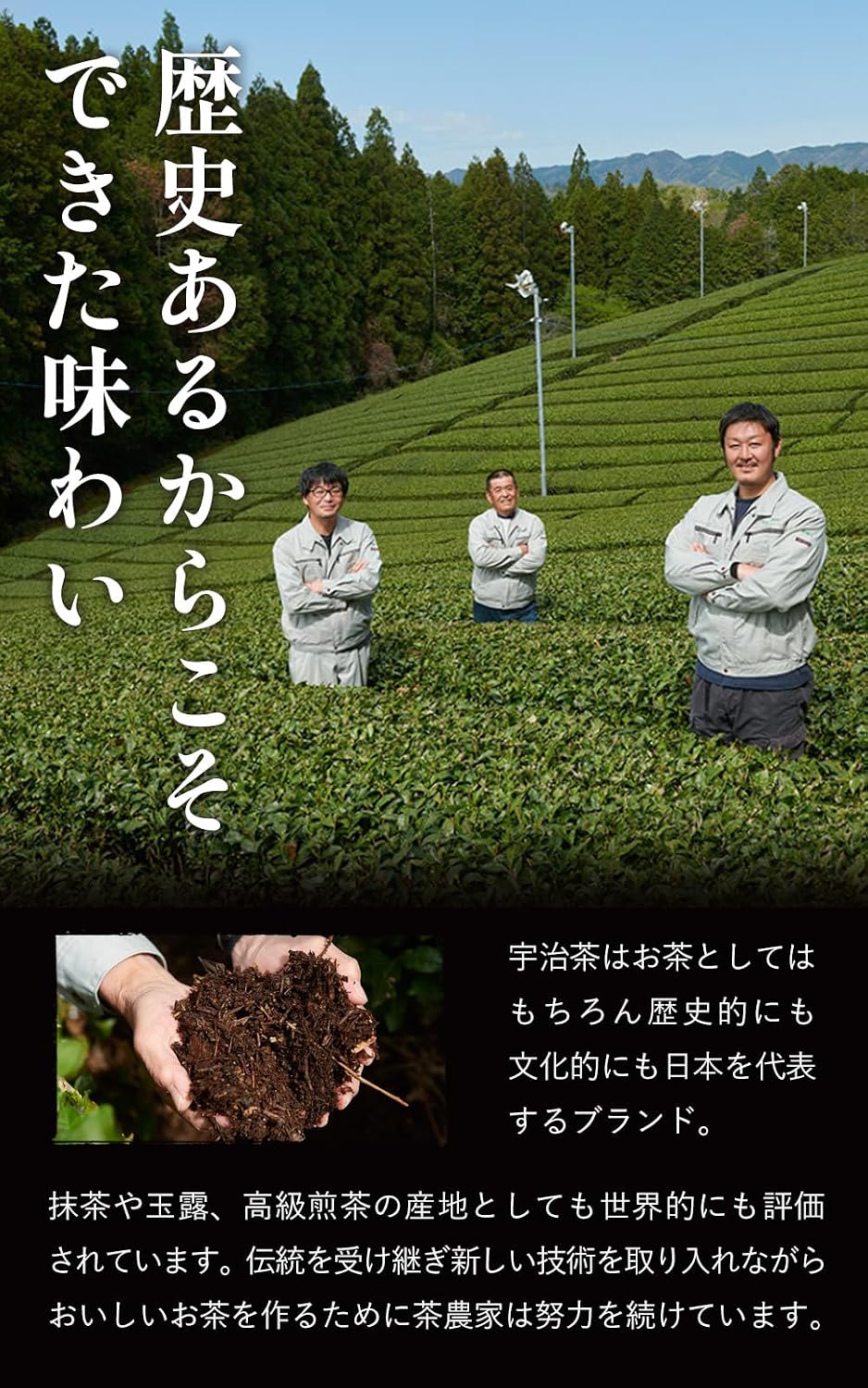 Kyoto Ujitawara Tea Farm Green Tea Leaves Japanese Tea Green Tea Premium Matcha Green Tea 100g 777