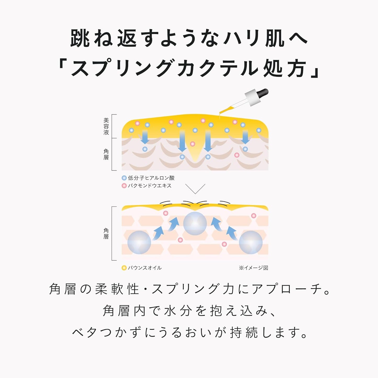 Desencia Wrinkle O/L Concentrate (Wrinkle Improvement Essence / 30mL) Niacinamide Face Oil (Wrinkle, Firm, Gloss), Skin Care, Sensitive Skin, Dry Skin, Gift + Cream Pouch Included