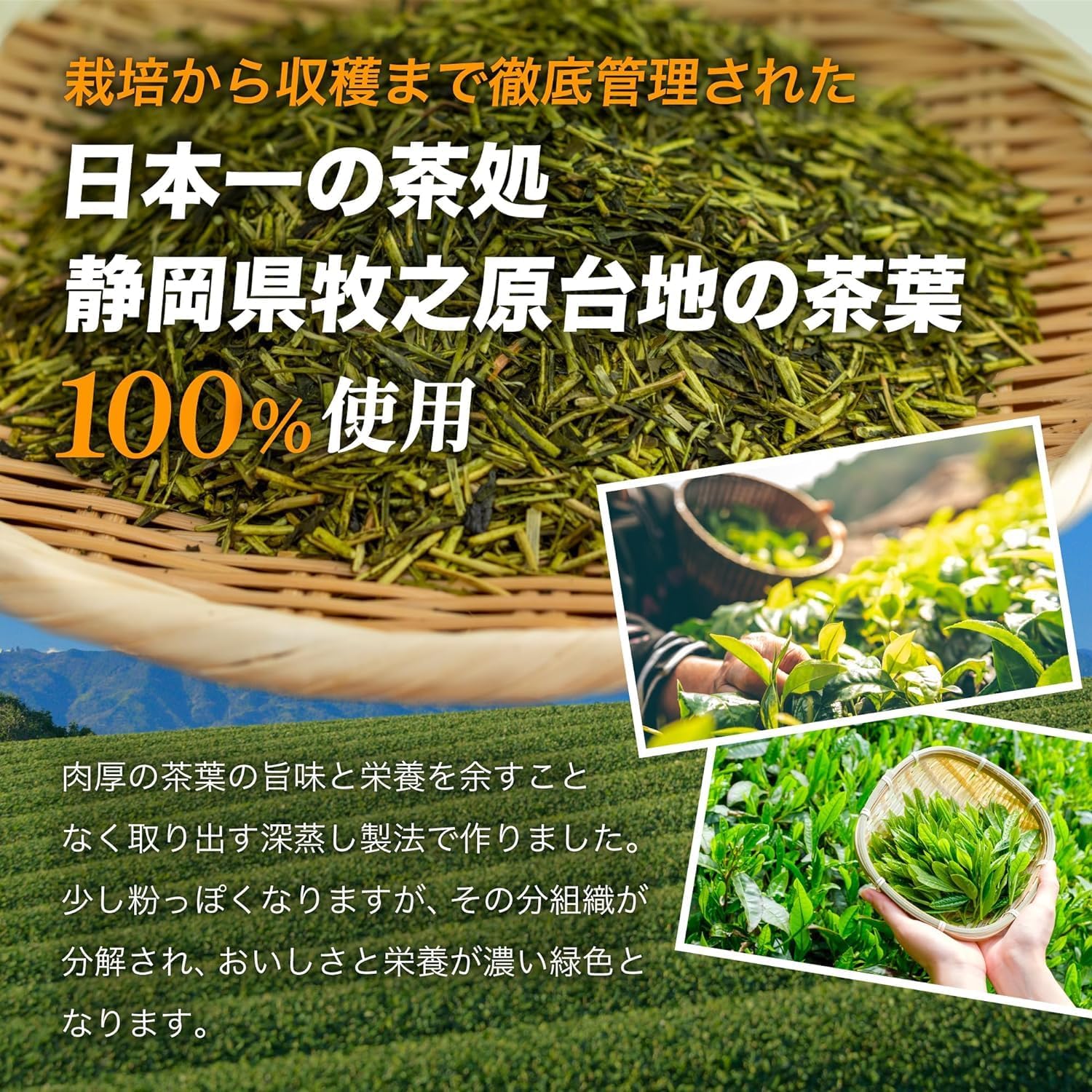 Arahataen Tea Tea Pack Green Tea Tea Bag Deep Steamed Tea 2.5g×100 Pieces Large Capacity Shizuoka Tea Water Brewed Tea Bag Perfect for Drinking Straight from the Bag