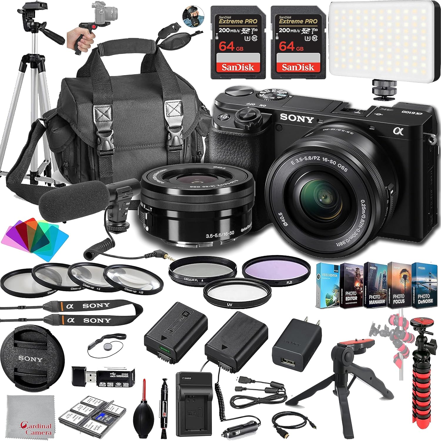 Sony a6100 ミラーレスカメラ 16-50mm + 55-210mmレンズ、128GB エクストリームスピードメモリ、.43広角&2Xレンズ、ケース、三脚、フィルター、スペアバッテリー&充電器、編集ソフトウェアキット - デラックスバンドル