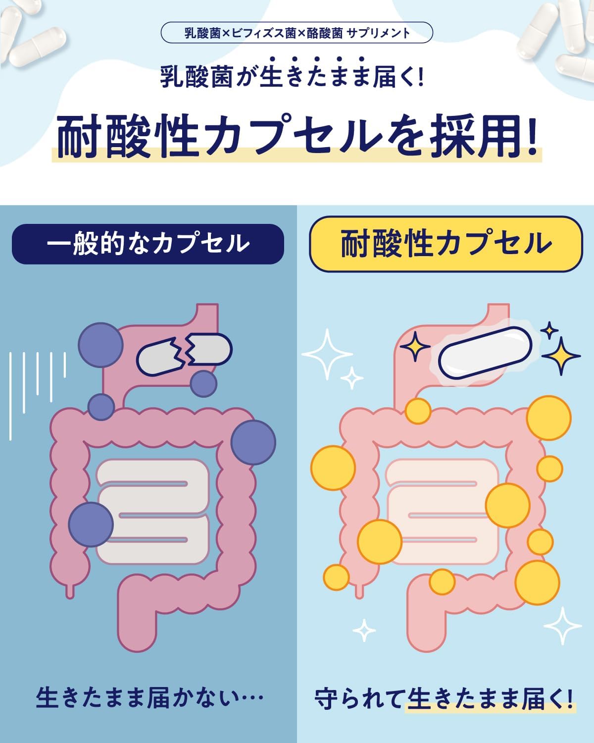 【Live Lactic Acid Bacteria and Butyric Acid Bacteria Generously Blended】BIFIRAL Lactic Acid Bacteria Bifidobacterium Butyric Acid Bacteria Supplement 4.5 Trillion Units 30-Day Supply Domestically