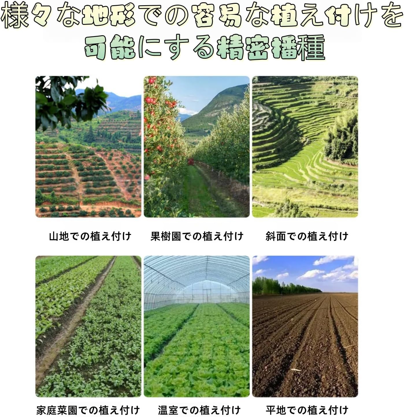 手動野菜播種機野菜 調整可能な植物間隔播種機 小型精密プランター多機能農業ツールレイプニンジン高麗人参ほうれん草キャベツ種まき機 農機具 農業機械 種まき 野菜 大根等 労力を節約 簡単に種まき 家庭菜園 (1列)