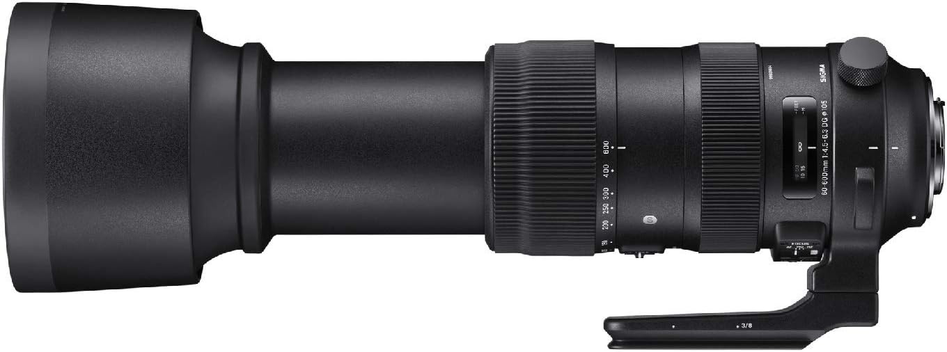 シグマ(Sigma) SIGMA シグマ Canon EFマウント レンズ 600-600mm F4.5-6.3 DG OS HSM ズーム 望遠 フルサイズ Sports 一眼レフ 専用