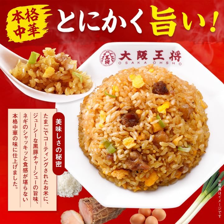Osaka Ohsho Frozen Fried Rice, 8.1 oz (230 g) x 10 Packets