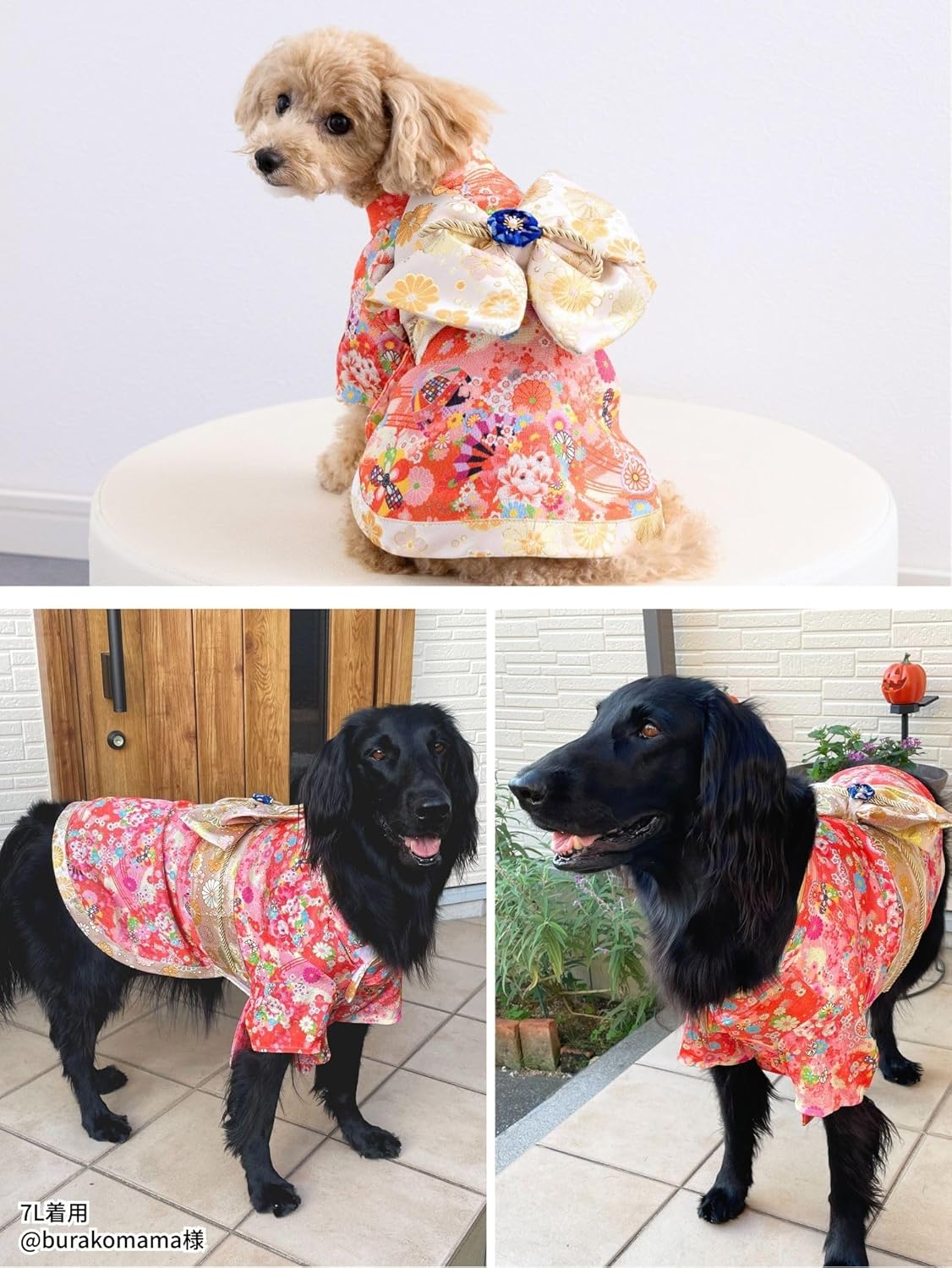 ONEKOSAMA OINUSAMA Dog Clothes Cat Cat Cat Kimono Kimono Kimono Dog Wear Festival New Year New Year Shichi-Go-San Small Dog Large Dog Small Large Size [Blue/XS]