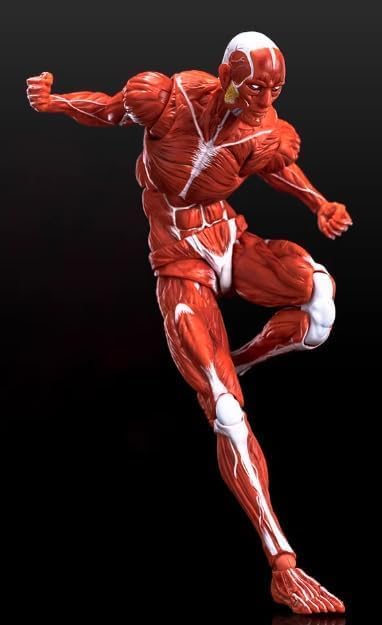 LEBOO 1/12 Toyocho Keeping Male Action Body Muscle Body for Movable Action Figures, Red