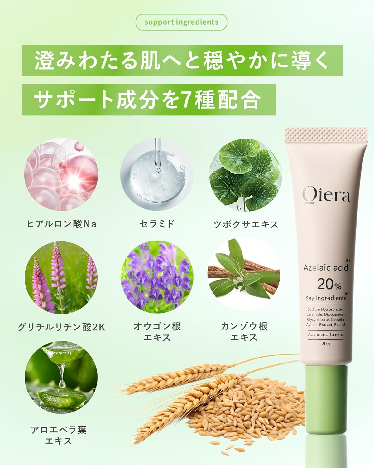 Azelenic Acid 20% Cream, 0.7 oz (20 g), Ceramide, Niacinamide, CICA Deer, Hyaluronic Acid, Pore Care, Sebum Moisturizing, Sensitive Skin