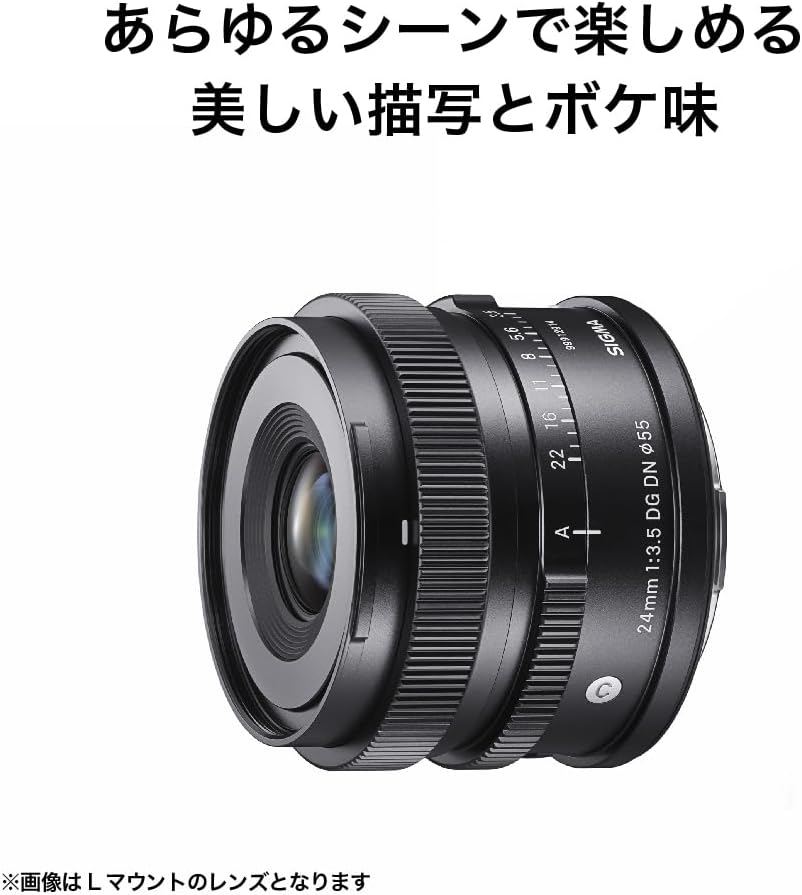 Sigma Sony E-Mount Lens 24mm F3.5 DG DN Monofocal Wide Angle Full Size Contemporary Mirrorless