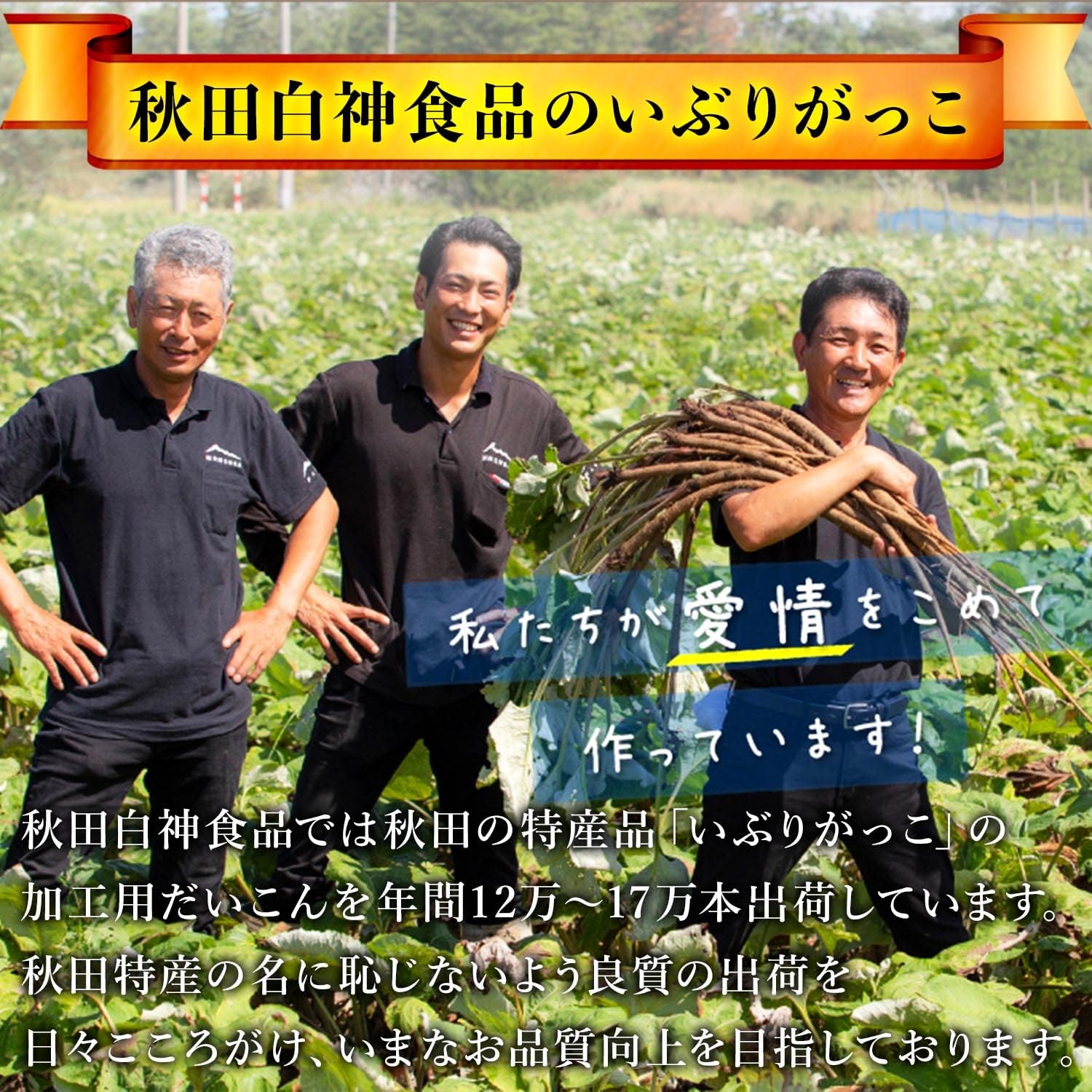 Akita Shirajin Foods Side Gakko (Sweet Mouth/Spicy 5.3 oz (150 g) Each of 4 Bags