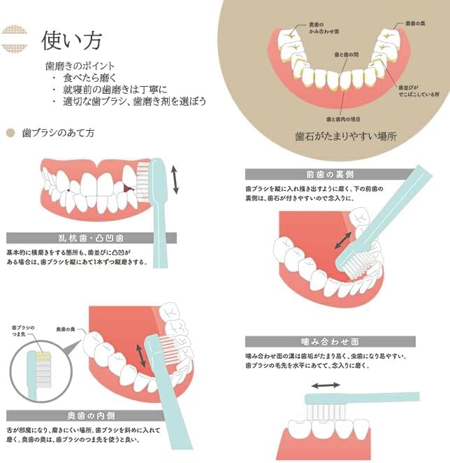 Artisan Toothbrush, Fine Point, Brush Every Corner of Your Teeth, Japanese Quality, Made in Japan, Set of 6, Set of 2, Pocket Tissue Included