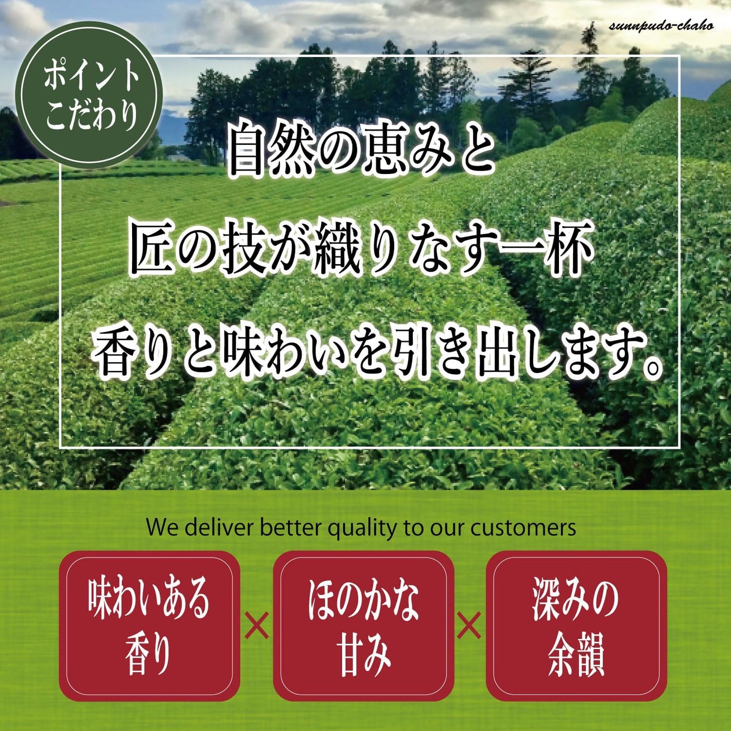 【Sunpu-do Tea Shop】 Shizuoka Kakegawa Tea Deep Steamed Tea | First Grade Tea Leaves | Shizuoka Tea Sencha Tea Leaf Tea Producer Catechins Beauty Health Leaf Tea (1 bag, Kakegawa Deep Steamed Tea)