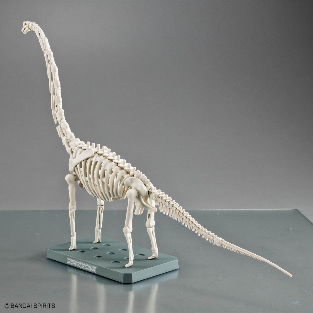 Bandai Spirits Planosaurus Brachiosaurus Color Coded Plastic Model