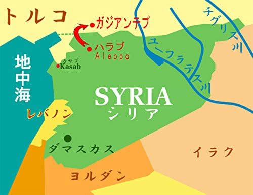 オリーブとローレルの石鹸 ノーマル 200ｇ×2個 【アレッポの石鹸 職人 からの贈り物】 [並行輸入品]