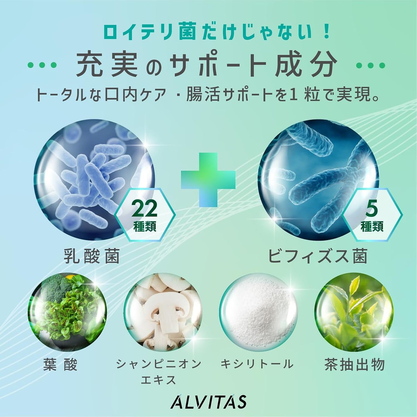 Reuteri Bacteria (High Concentration, 48 Billion Bacteria x 22 Types) Live Reuteri Bacteria Supplement, 30 Day Supply, Mint Flavor, ALVITAS, 22 Types of Lactobacillus Bacteria, 5 Types of