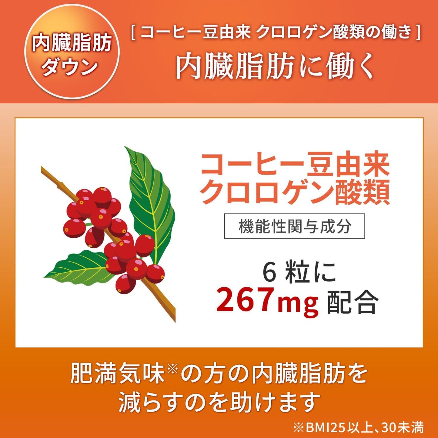 【Exclusive】 Kirin iMUSE Immune Care & Healthy Internal Fat Reduction [ Supplement Plasma Lactic Acid Bacteria Functionally Labeled Food Immune Care Tablets Small Tablets Kirin ] 30-Day