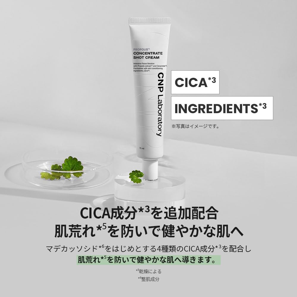 CNP Pro P S Cream (2.6 fl oz (75 ml) Moisturizing Cream Hari Gloss Resilient Aging Care Propolis Hyaluronic Acid CNP Laboratory Korean Cosmetics