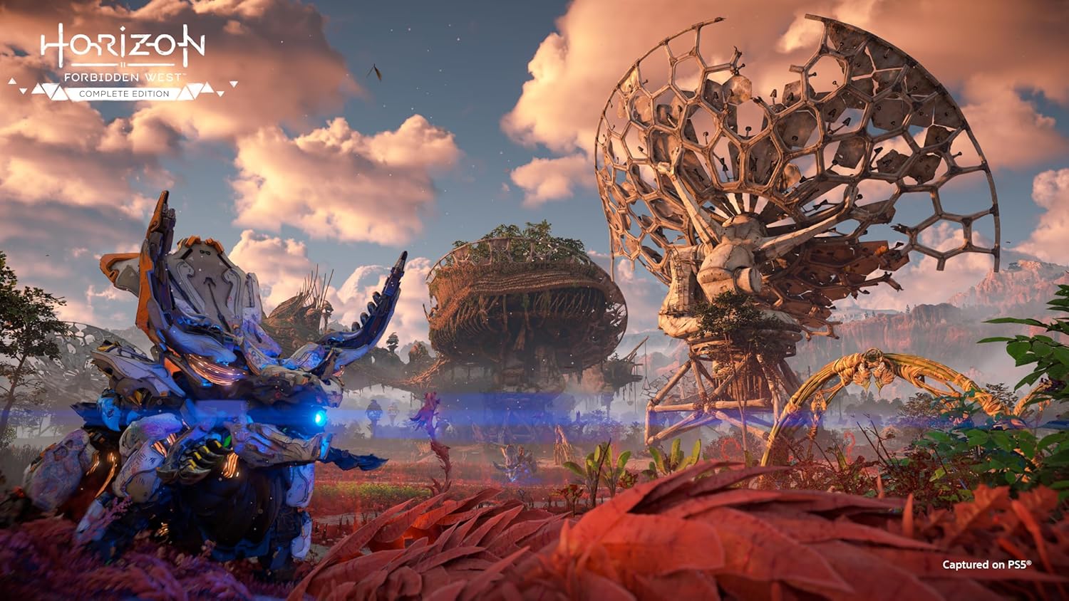 【PS5】Horizon Forbidden West Complete Edition