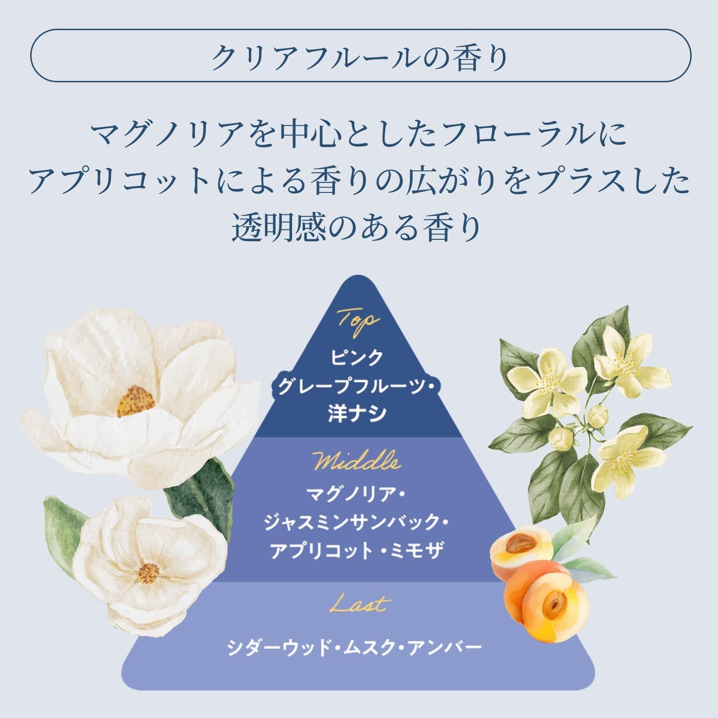 T/MEU Keep Moist Hair Oil, Glossy, Non-Rinse Treatment, Clear Fleur Scent, 2.8 fl oz (80 ml)